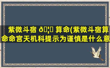 紫微斗宿 🦅 算命(紫微斗宿算命命宫天机科提示为谨慎是什么意思 🌿 )